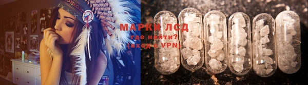 индика Киреевск