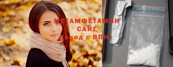 индика Киреевск