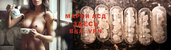 индика Киреевск