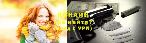 индика Киреевск