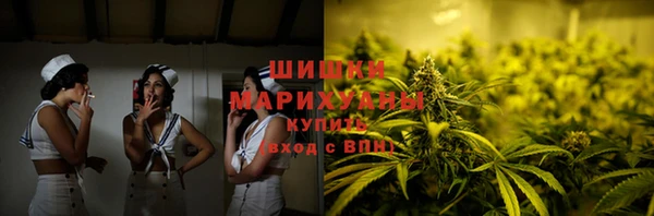 индика Киреевск