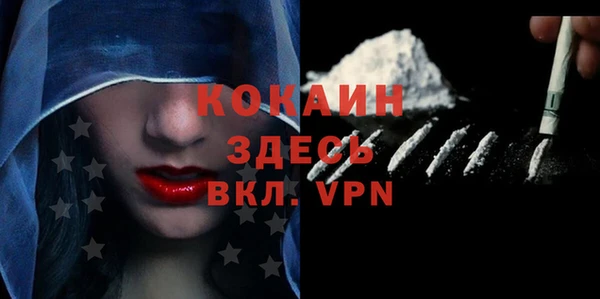 индика Киреевск