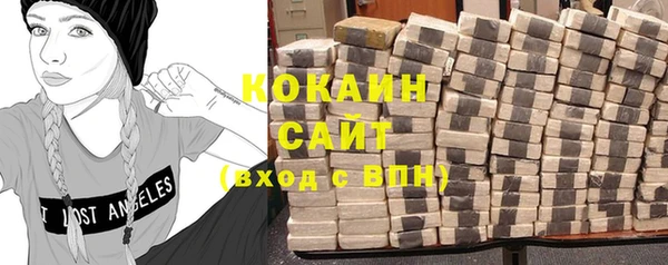 индика Киреевск