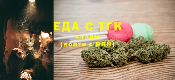 индика Киреевск